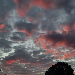 Meet your Posher, Abigail